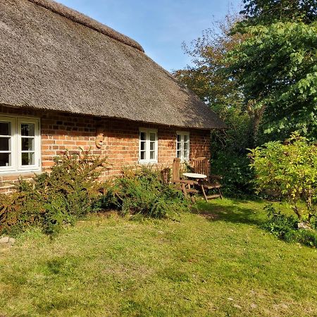 Ringkobing Fjord B&B Skjern エクステリア 写真