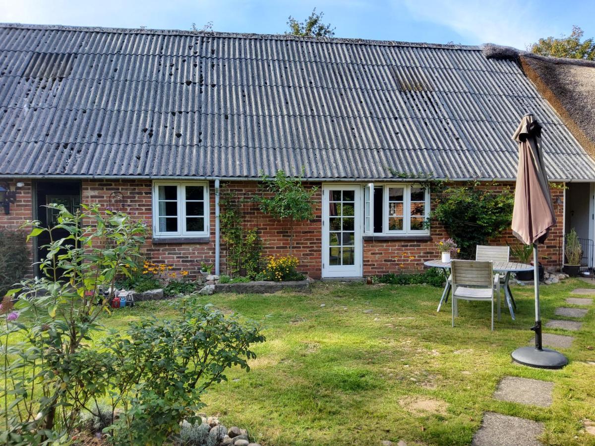 Ringkobing Fjord B&B Skjern エクステリア 写真