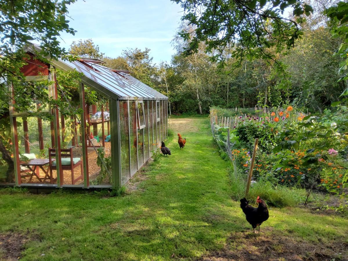 Ringkobing Fjord B&B Skjern エクステリア 写真