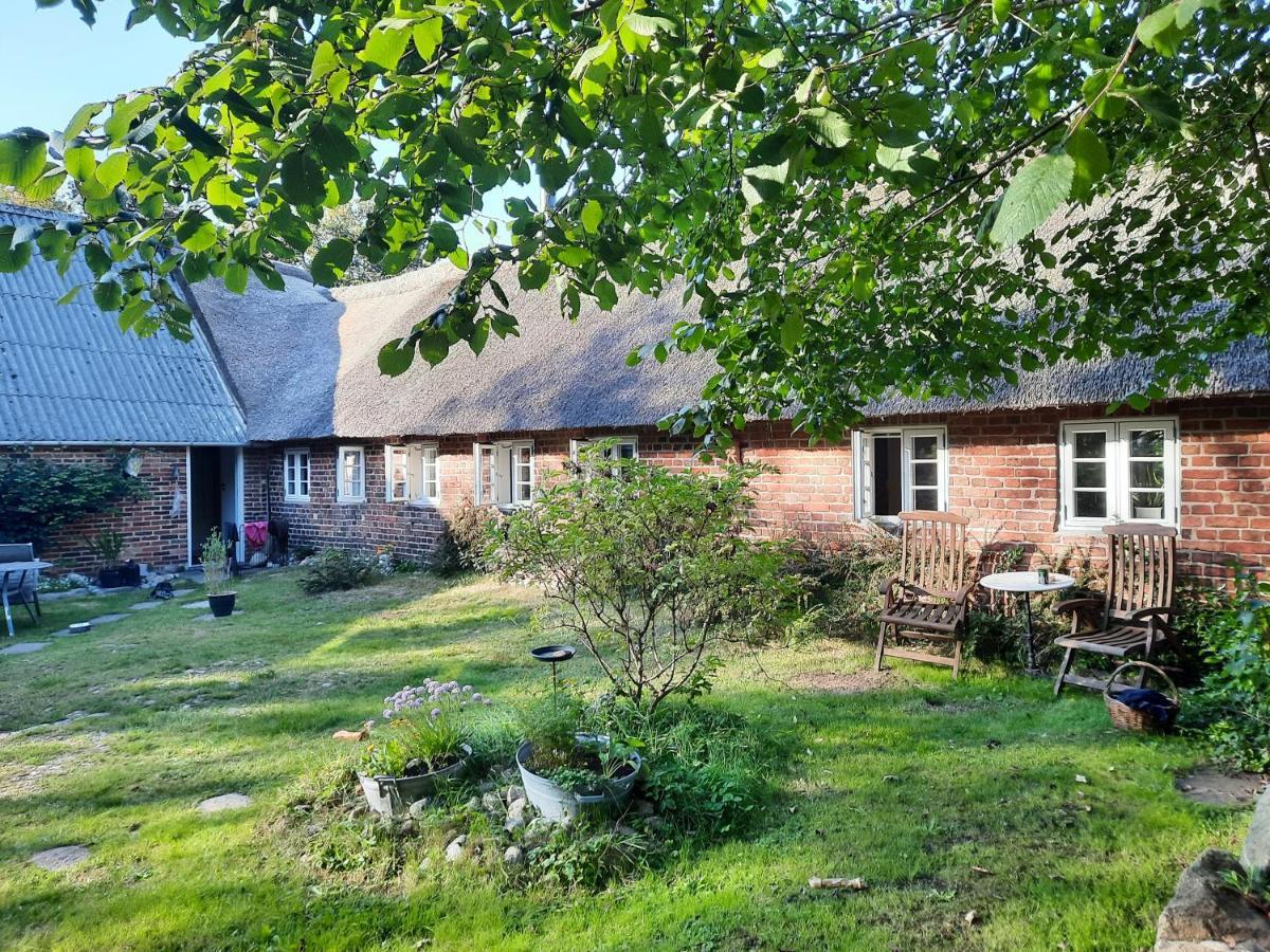 Ringkobing Fjord B&B Skjern エクステリア 写真